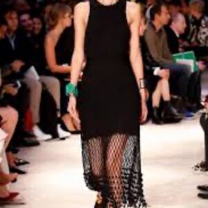 2014 Celine by Phoebe Philo fishnet runway skirt!